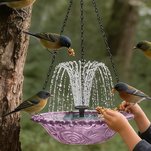 Bain pour oiseaux de cour avec mangeoire suspendue de terrasse