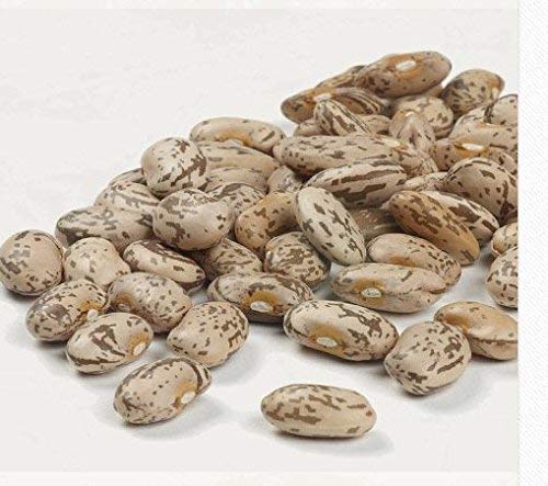 Camellia Brand Dried Pinto Beans 1 Pound (Pack Of 12) #TOP3