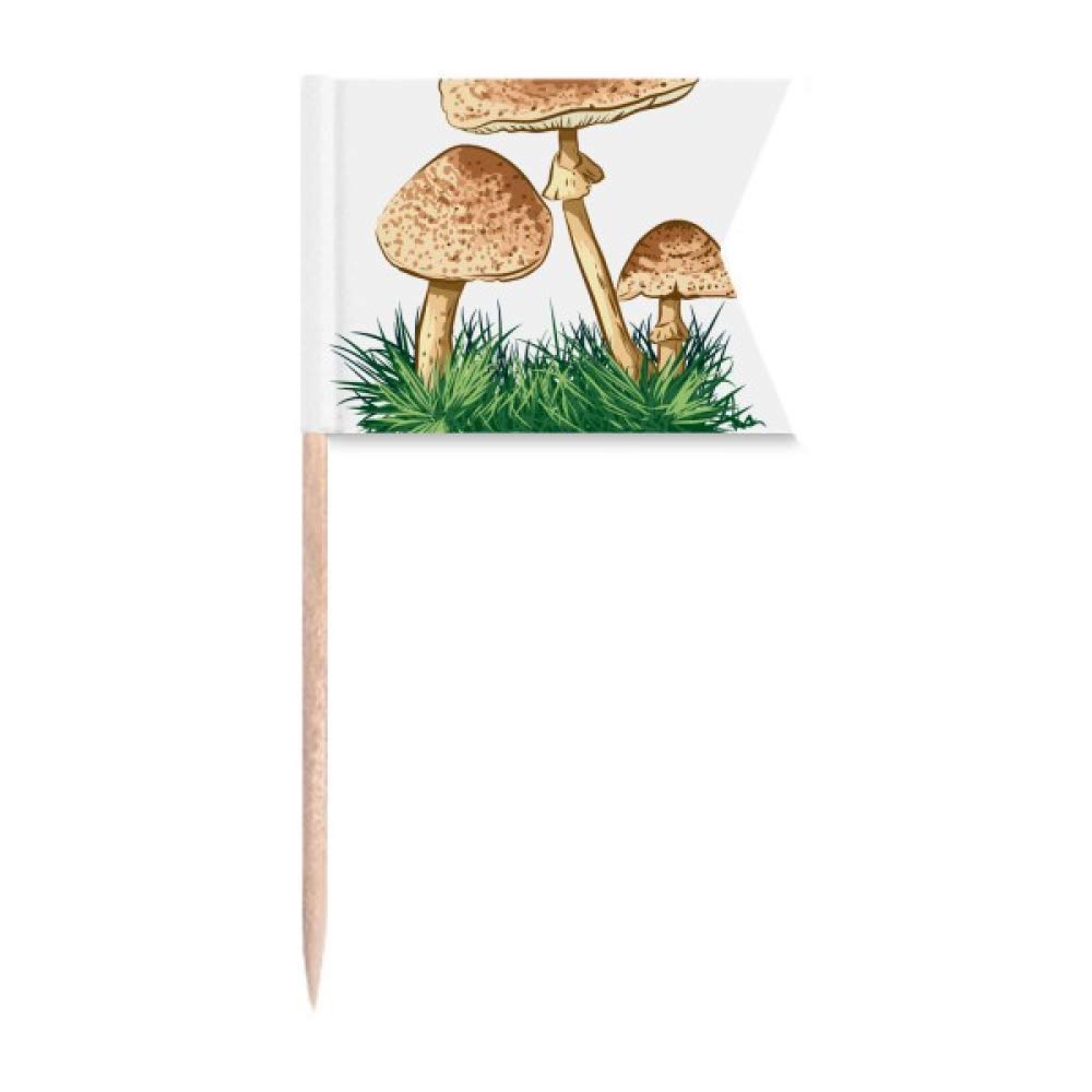 Gâteau de Fête Plante Truffe DIYlab Plaque Fromage Illustrée