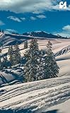 backcountry skiing washington  BASIDIA: Backcountry Ski Runs in the Sun Notebook 64 Dotted Pages: 130 x 210 mm