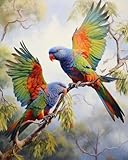 Kit de broderie au point de croix, loriquets arc-en-ciel en vol, motifs de croix imprimés, kit de broderie artisanale, kits de démarrage pour débutants, cadeaux faits à la main 11CT 3 brins 40,6 x