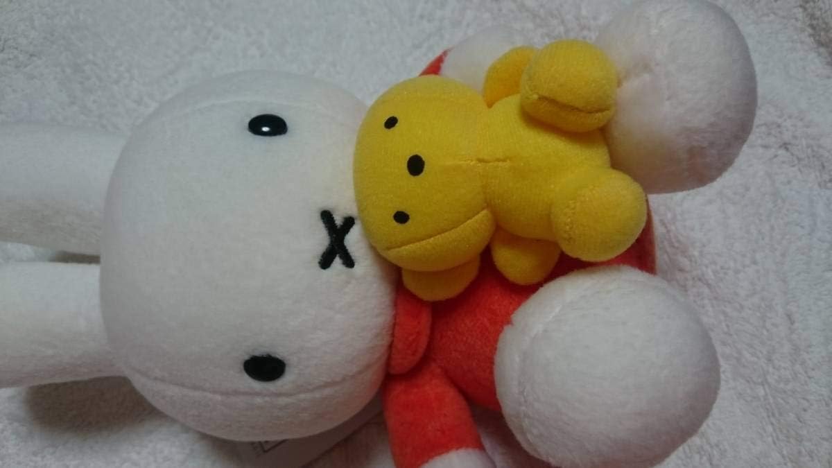 可愛っ ミッフィオレンジくまちゃん抱っこ45