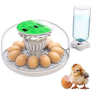 Okköbi couveuse automatique M12, 12 à 24 œufs