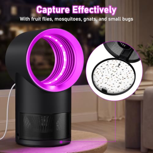 Image of Fly Trap Indoor, Gnat Traps House Indoor, Indoor Pink Insect Trap with Timer