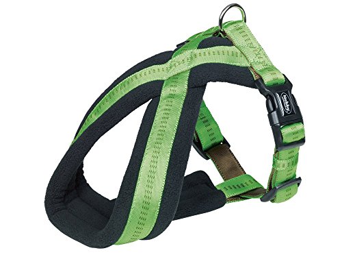 Nobby Chest size: 40-60 cm, Green, 40-60 cm (Pack of 1)