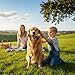 JcvPot Kaffeeholz Für Hunde, 4 Stück Kauholz Für Welpen, XXS Hundespielzeug Zur Zahnpflege, Natürliches Kauspielzeug Für Kleine Hunde, Länge 14 cm, Durchmesser 1,8-2 cm