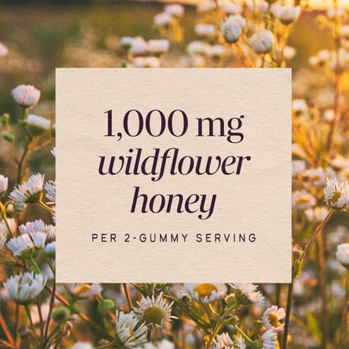 Nature’s Way Sambucus Elderberry + Wildflower Honey Immune Gummy, 50 ct - image 4