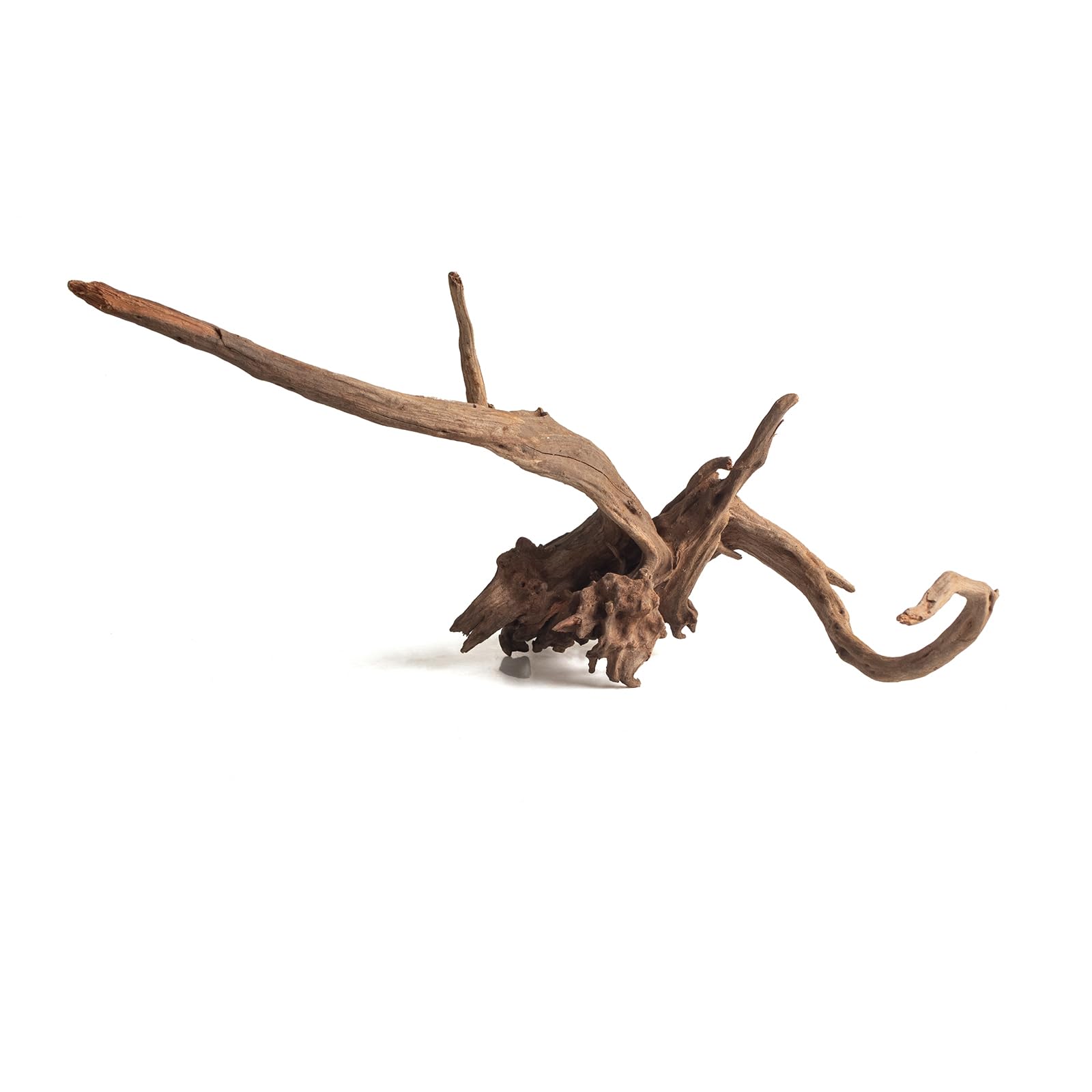 emours Bois flotté naturel pour aquarium, bois flotté unique pour décoration d'aquarium, terrarium et exposition de reptiles (30-40 cm)