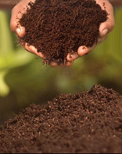 Image of Bay leef Cocopeat Powder for Plants | Ready to Use Organic Coco Peat Powder Coconut Husk | Ideal for Indoor & Outdoor Gardening, Seed Starting, Composting, and Hydroponics | Pack (2kg)