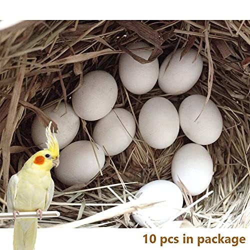 Image of Solid Plastic Eggs - Parrot Bird Hatching Replacing Eggs for Guiding Birds to Stop Laying, 10 PCS (XL)