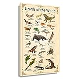 Lizard Wall Art Animal Posters Educational Wall Art Lizard Prints Vintage Canvas Framed Wall Art Kno