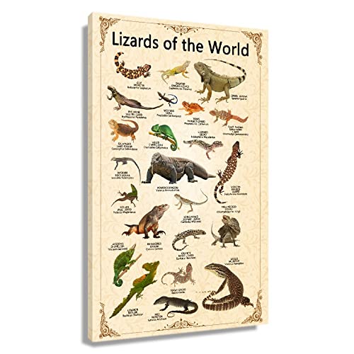 Lizard Wall Art Animal Posters Educational Wall Art Lizard Prints Vintage Canvas Framed Wall Art Knowledge Poster Painting Pictures Framed (12X18 Inch) #TOP2