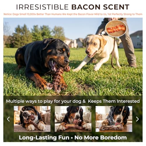 Kseroo 3-Pack Indestructible Dog Chew Toys for Aggressive Chewers: Bacon Flavored Rock-Hard Solid Nylon, Tough Dog Bones for Medium/Large Dogs 25-90lbs, Heavy Duty Dog Toys to Keep Them Busy, Brown-XL — view 3