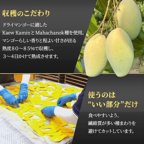 アイリスプラザ 完熟ドライマンゴー 5袋セット