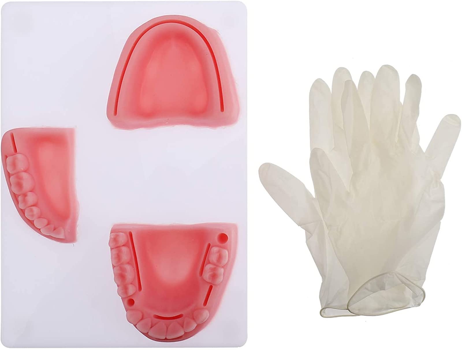 Buy LDXHWOD Oral Suture Training Model, Silicone Dental Suture Pad Kit