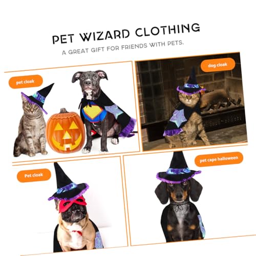 Disfraz de mago para perro talla L Halloween miniatura 6