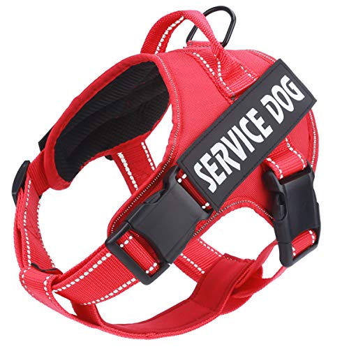 bolux harness