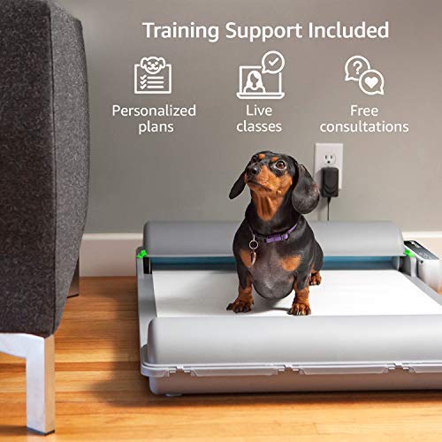 BrilliantPad-Self-Cleaning-Automatic-Indoor-Dog-Potty-for-Puppies-and-Small-Dogs
