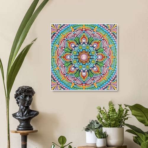 Image of AiYuanzsh Special Shape Diamond Painting Set for Adults, Mandala 5D Partial Drilling Diamond Art Set for Beginners, Paint Gem Art Painting Crafts with Diamonds 30x30cm