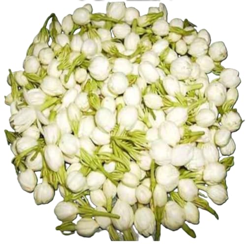 Image of Fresh Jasmine, 50 g
