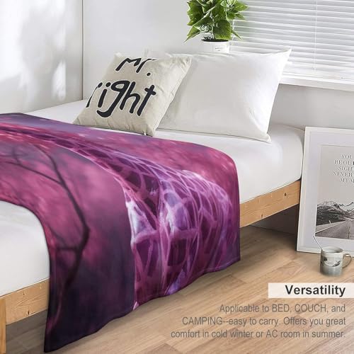 Manta de forro polar con jirafa suave colcha para sofá y cama grande de 150 x 200 cm 7