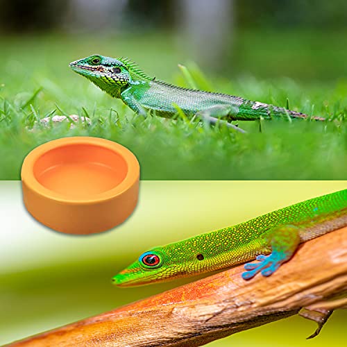 2 Pack Worm Dish Reptile Food Bowl Bearded Dragon Ceramic Bowl with Feeding Tongs (Yellow-Medium) - Image 5
