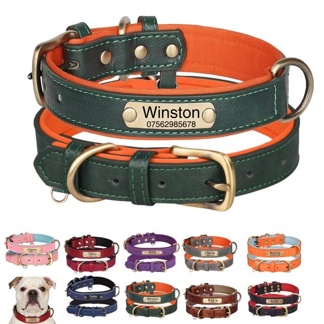 Collare per Cani in Vera Pelle Personalizzato con Incisione Nomi Collare con Design Morbido Imbottito Regolabile e Durevole per Cani di Piccola, Media e Grande Taglia Set di Guinzaglio Personalizzato