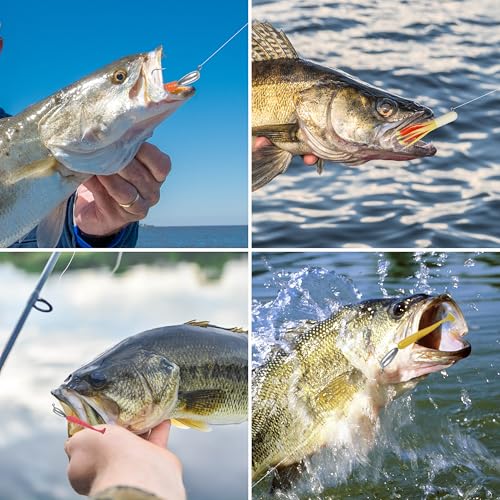 Hameçons pêche du bar en mer et eau douce avec tête plombée