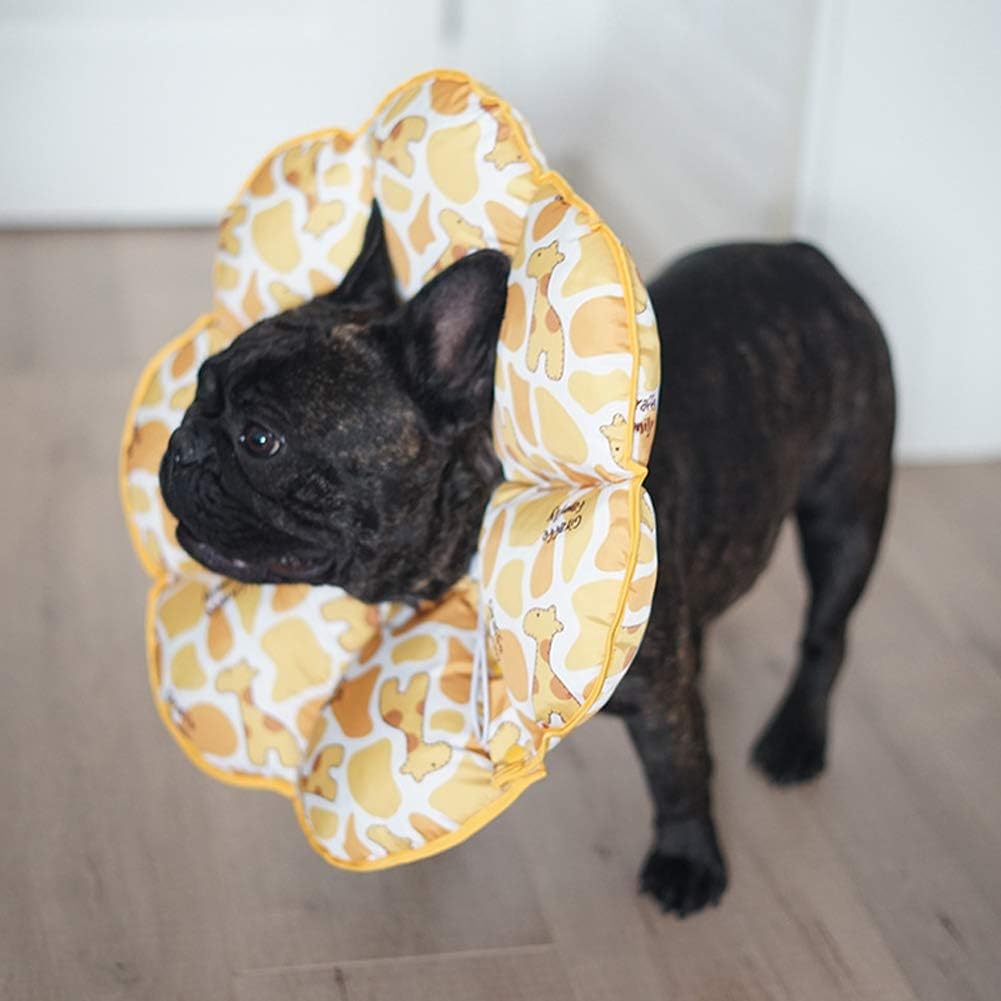 Adjustable Cat Recovery Collar Cat Cone After Surgery, Elizabethan Collars Protective Cone,Soft Edge Anti-Bite/Lick Head Wound Healing for Pets Cat Small Dogs Kitten,1,S