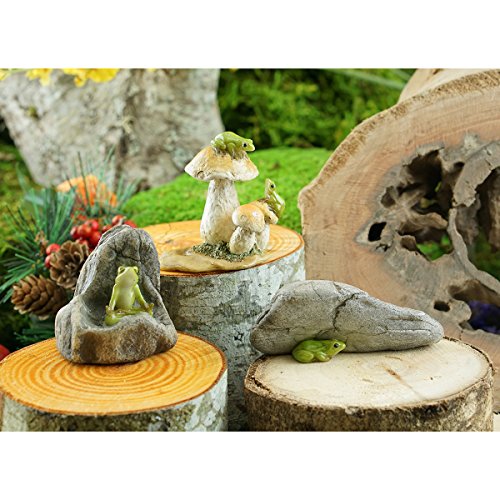 Top Collection Estátua miniatura de mini sapos em cogumelos e jardim de fadas