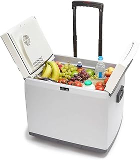 Hi-Gear 45 Litre Cooler with Integrated Handle & Wheels, 12V In Car Socket & 240V Mains Socket, Portable, Spacious, Wheeled, 45L Electric Cool Box, Camping, Travel, Picnics, Festivals, Grey