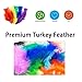 Feather Boa Set of 6 Vibrant Colors Mardi Gras Party 6.6ft Long Feather Boas