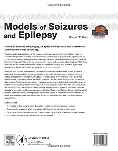 Models of Seizures and Epilepsy