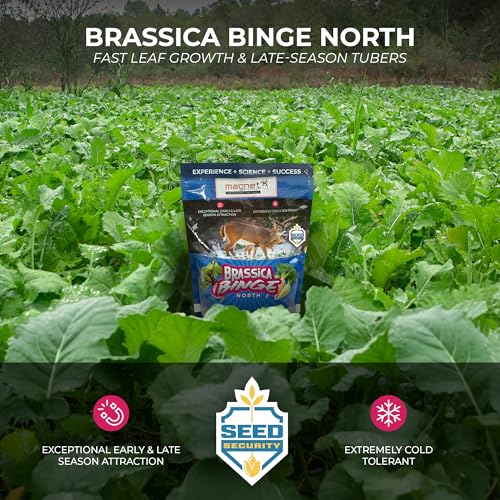 Brassica Blend For Deer