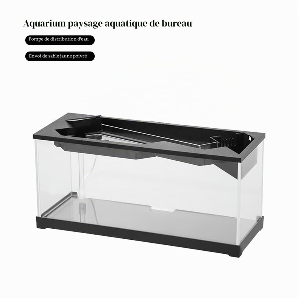 Aquarium Avec Filtre - Kit de Démarrage Tropical et d'Eau Froide, Pompe à Air et Lumière - Grand Bac Rectangulaire en Acrylique Haute Transparence