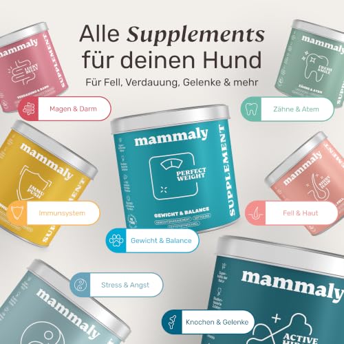 mammaly Perfect Weight® Abnehm-Komplex mit Zellulose für Hunde (120 Snacks)
