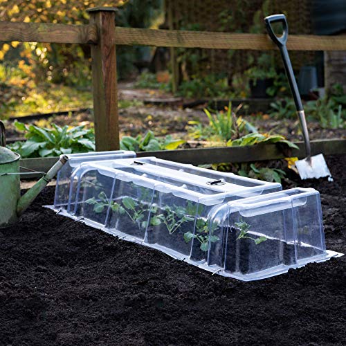 Thompson & Morgan Outdoor Garden Cloche Mini Greenhouse Growing Tunnel Plant Cloches for Vegetables Protects Young Plants & Crops from Bad Weather & Reduces Pest Damage (1 x Mini Greenhouse Cloche)