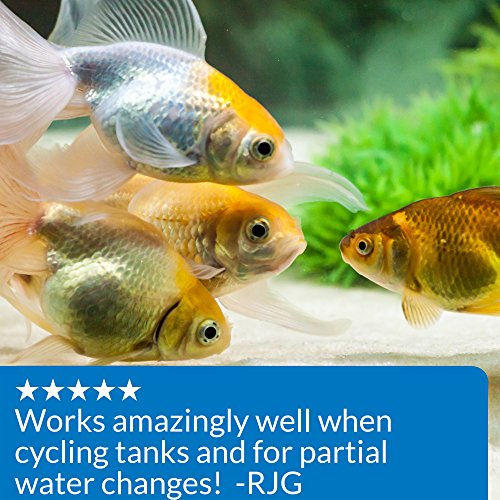 API QUICK START Freshwater and Saltwater Aquarium Nitrifying Bacteria 4-Ounce Bottle - Image 7