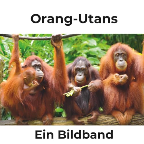 Orang-Utans: Ein Bildband