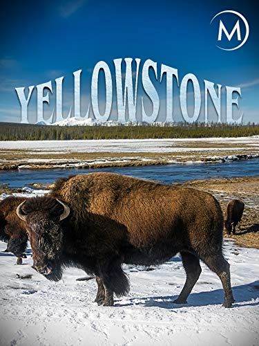 Yellowstone
