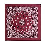 InsectGuard Mosquitoes, Flies, Ticks & More Permethrin Treated Insect Repellent BodyForge Bandanna Headband Scarf Paisley (Burgundy)