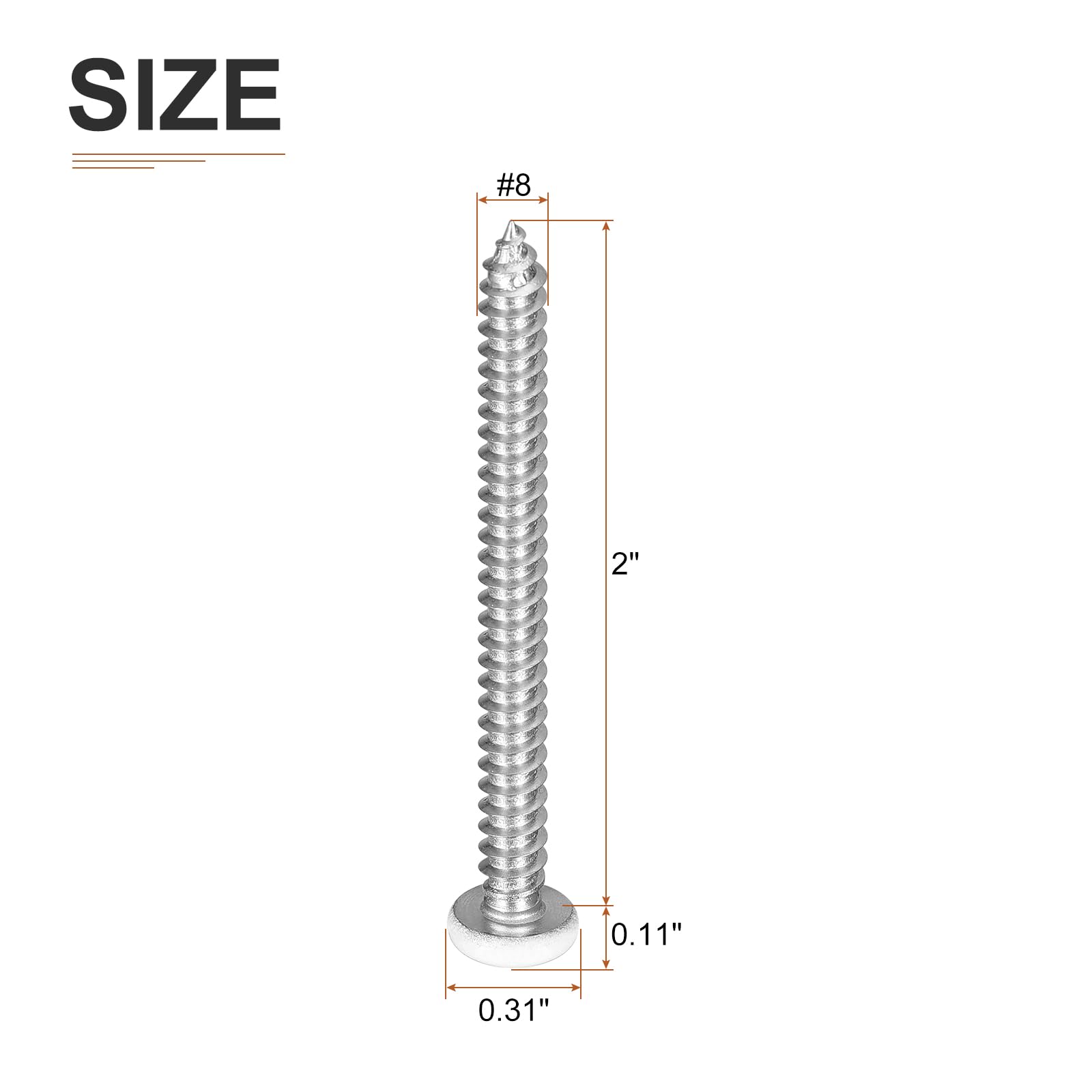 DTGN #8x2" White Screws 100Pack - 304 Stainless Steel Pan Head Phillips Sheet Metal Screw Self-tapping Screw Wood Screws - Image 2