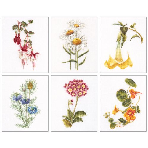 Thea Gouverneur Floral Studies 4 On Linen Cross Stitch Kit-6.75 x 8-inch 36 Count (Set of 6), Multi