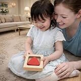 ︎ルーローの三角形/数学的木のおもちゃ ロータリーエンジン 日本グッド・トイ受賞 木のおもちゃ 知育玩具 積木 ランキング 1歳 1歳半 2歳 3歳 4歳 5歳 男の子 女の子 ネジ ブロック ギフト 誕生日 誕生祝い 安全 安心 国産 日本製