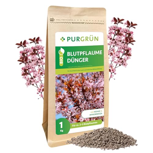 Purgrün® Bio-Blutpflaume-Dünger 1 kg –...