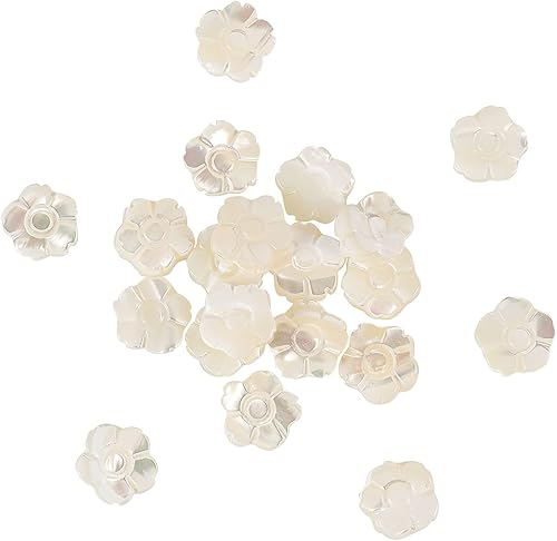 Airssory 20 dijes con forma de flor de 5 pétalos de concha natural, cuentas perforadas, hebras para hacer joyas, manualidades, accesorios para