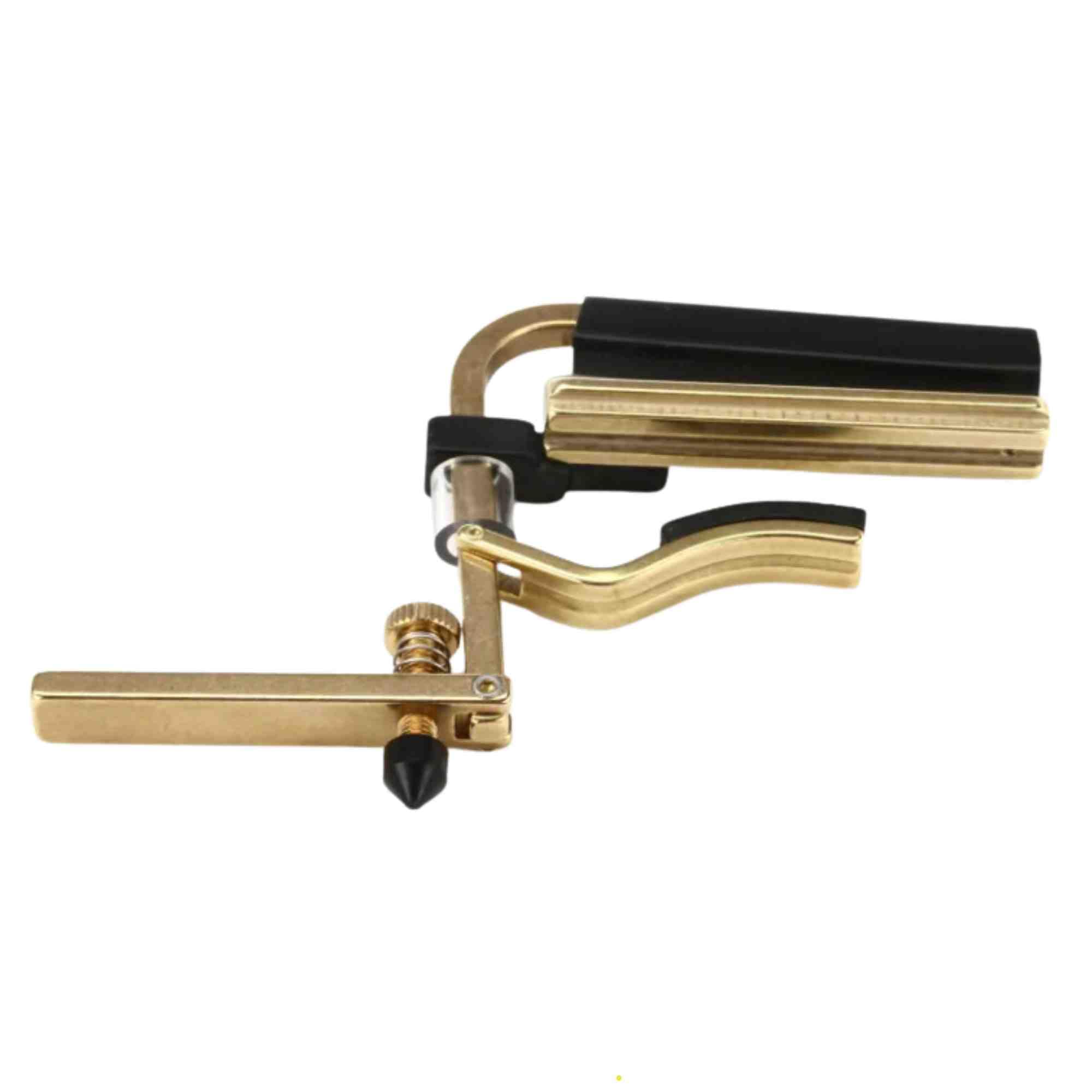 Shubb C6B Dobro Capo (japan import)