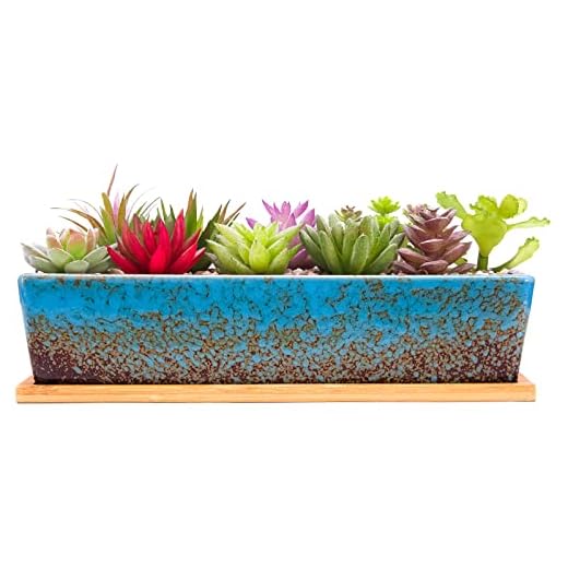 Succulent Pots - 12.1 Inch Large Succulent Planters Pots with Drainage Tray, Long Rectangle Ceramic Pot for Indoor Cactus/Succulent Plants Shallow Bonsai Window Box for Home Garden Decor (Blue)