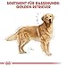 ROYAL CANIN Golden Retriever Adult | 3 kg | Trockennahrung für Hunde | Speziell für ausgewachsene und ältere Golden Retriever | Ab dem 15. Monat | Unterstützung von Haut und Fell