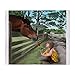 CafePress Special Connections Between A Girl and Her Horse T Soft Fleece Throw Blanket, 60